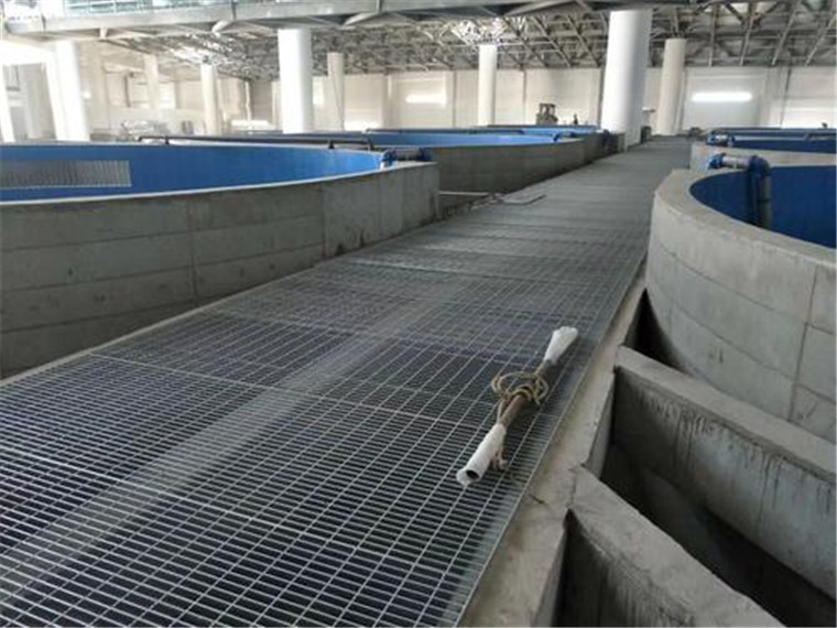 1573003083365572.jpg b00034.jpg