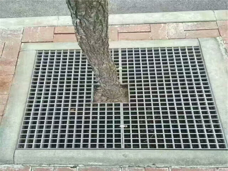 1573003718899886.jpg b001004.jpg